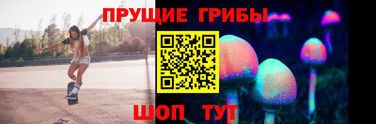 Псилоцибиновые грибы ЛСД Будённовск